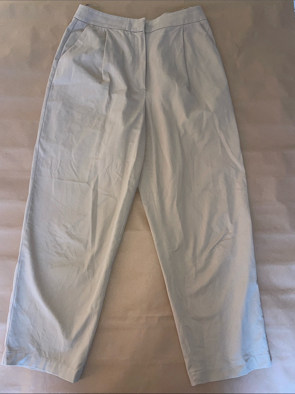 Anthropologie Wide Leg Pants in Light Gray
